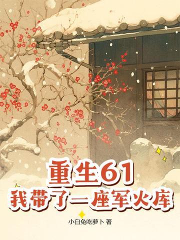 我带了一座军火库的