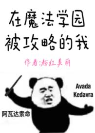 我在魔法学院任教