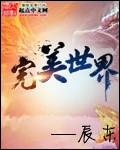 完美世界小天王